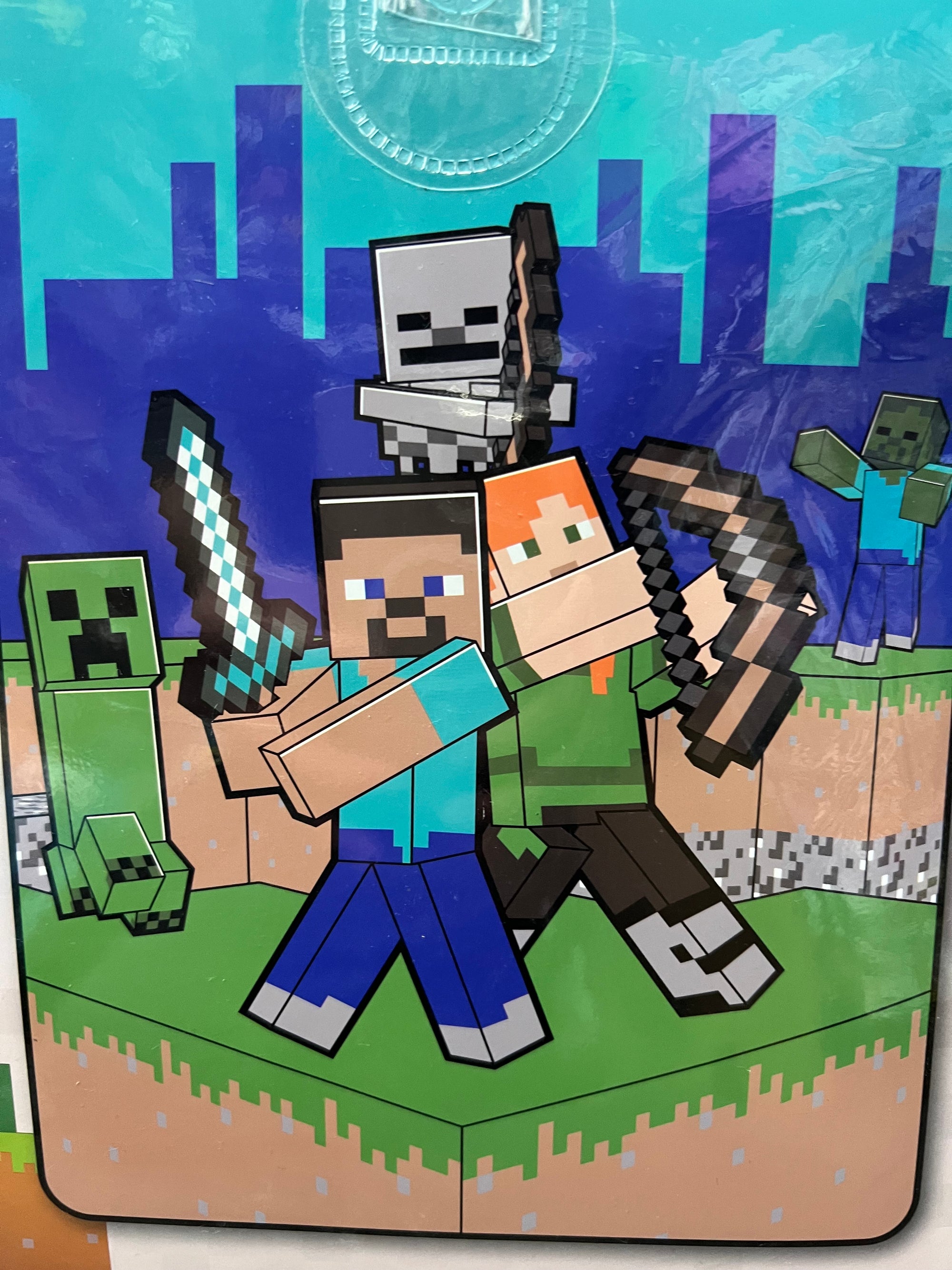 Minecraft - Twin