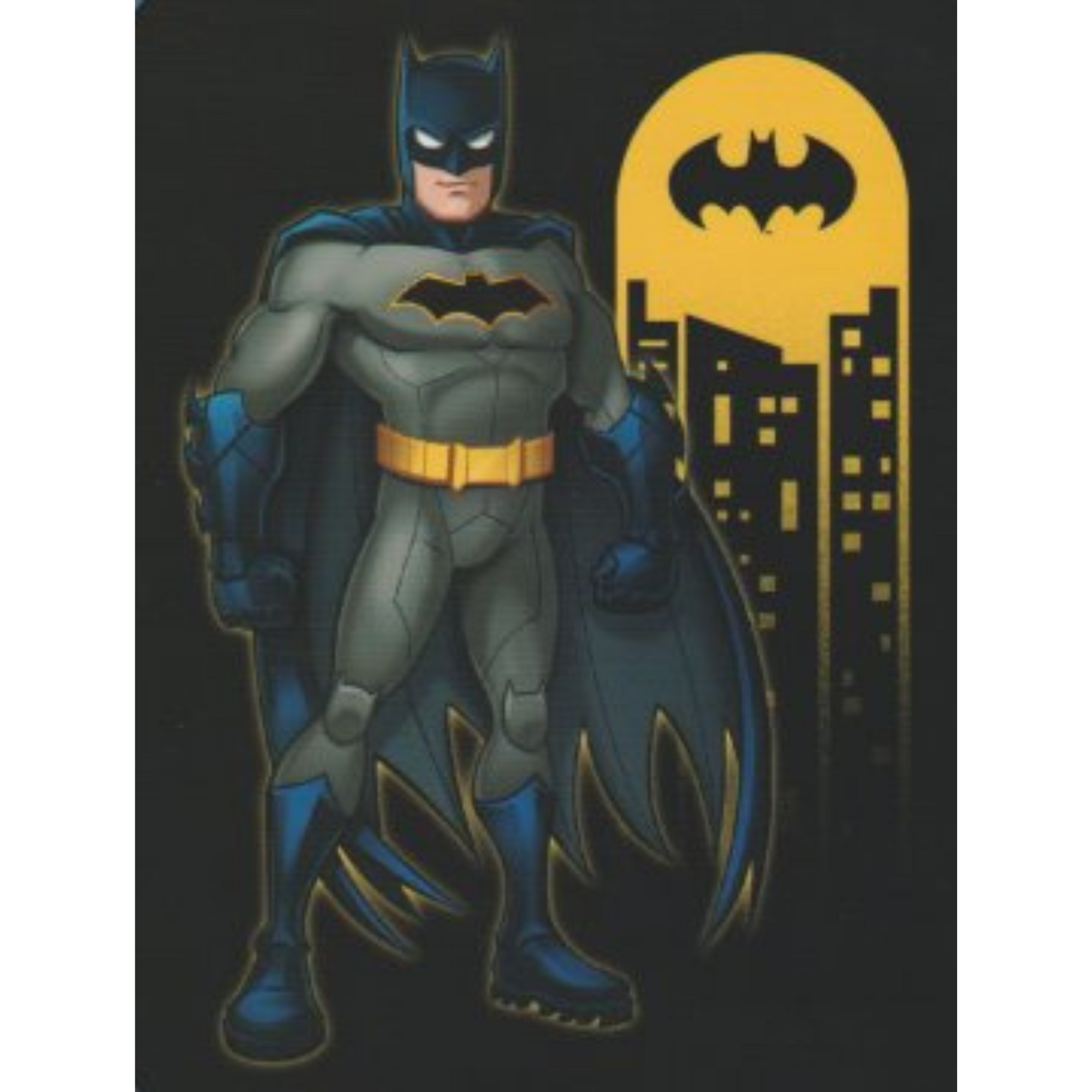 Cinderella Twin/Full Blanket