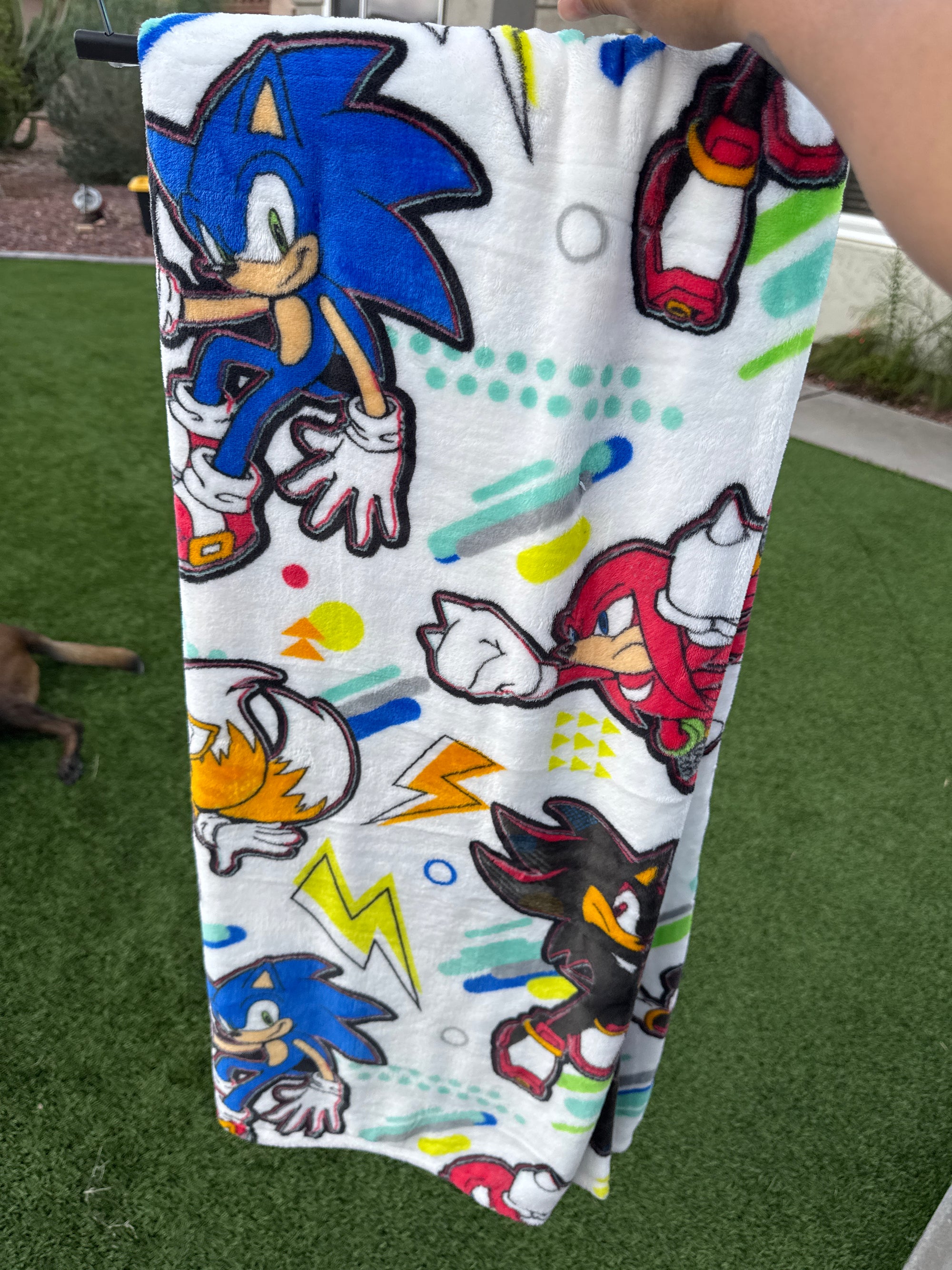 Sonic and friends