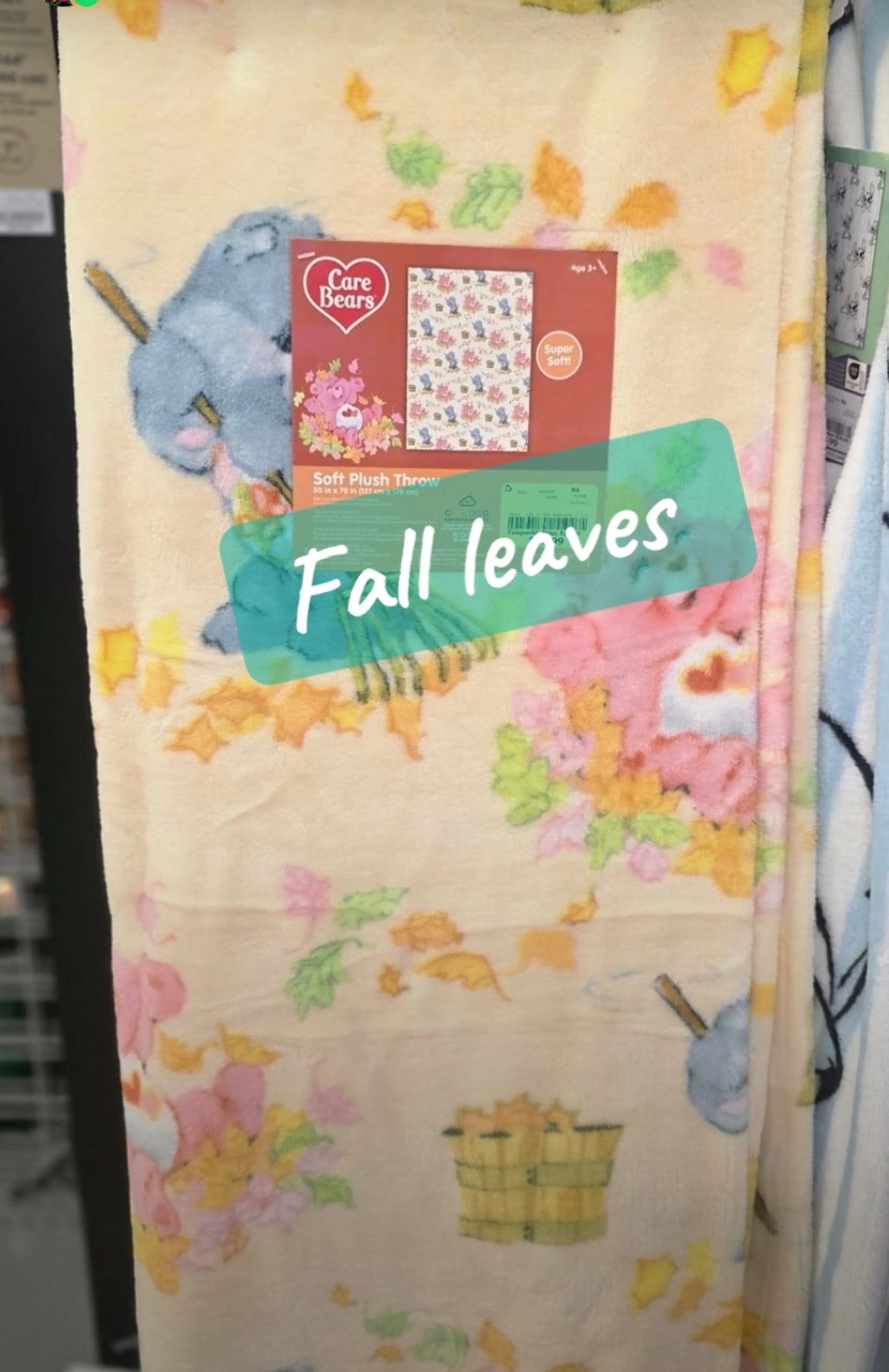 CareBears Fall Leaves